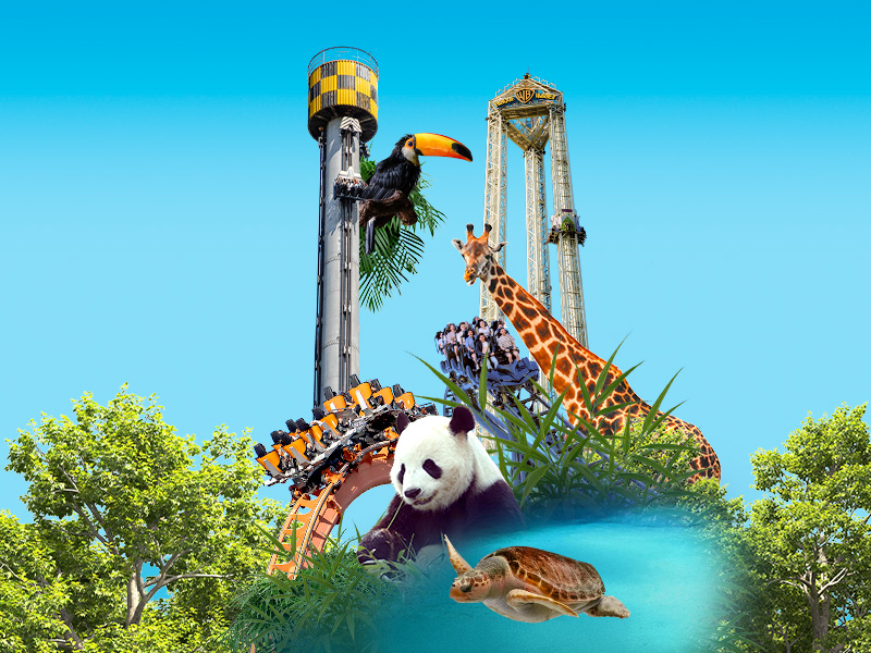 Promocion Preventa 2026